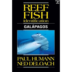 Reef Fish Id Galapagos